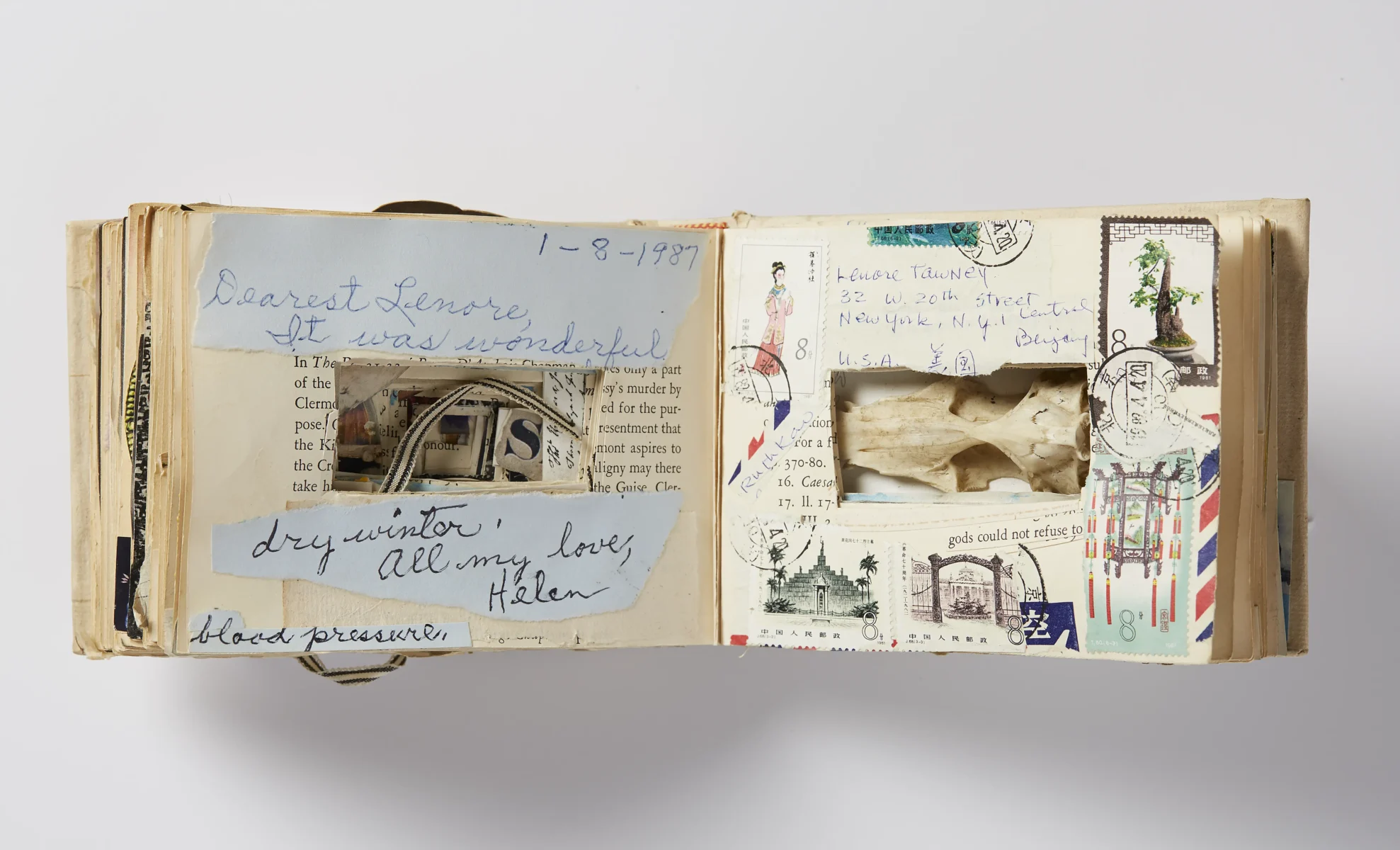 Artist book with rodent skull, c. 1985