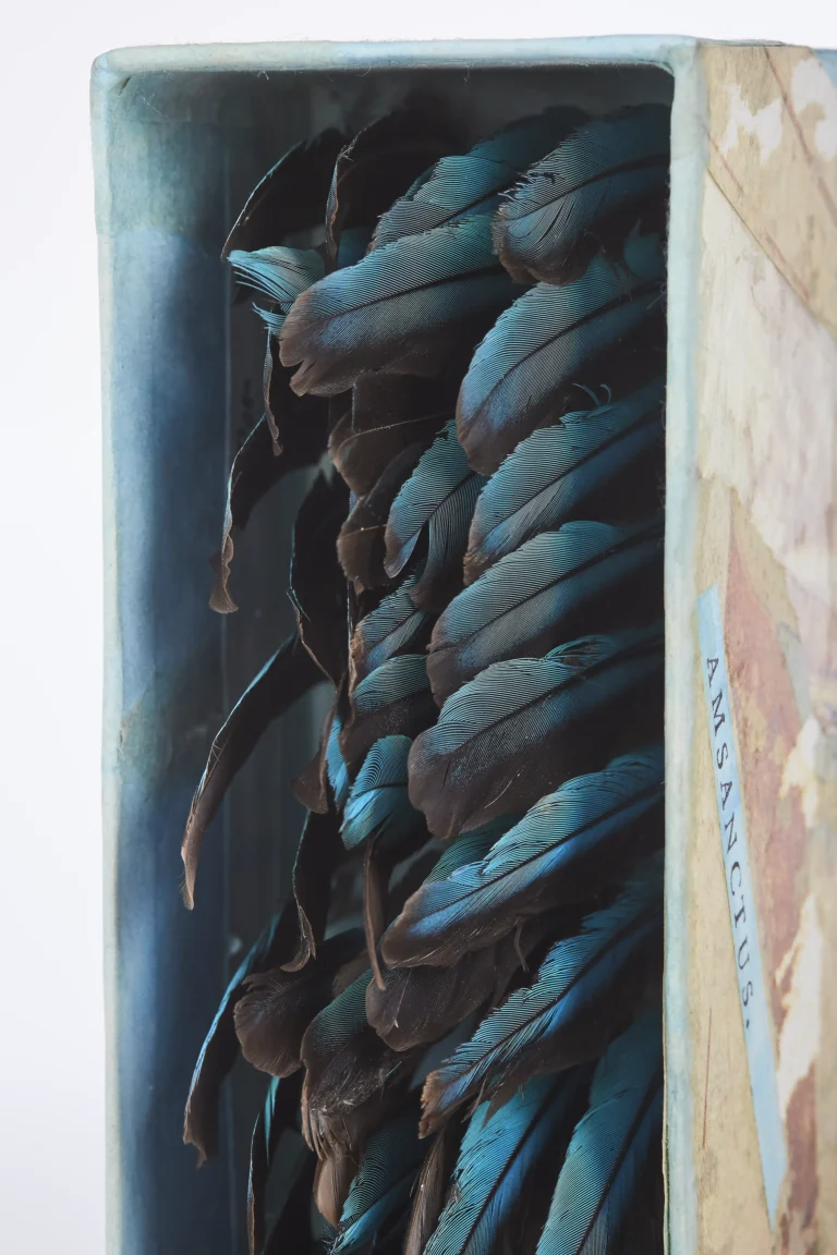 Feather Music, 1987 detail